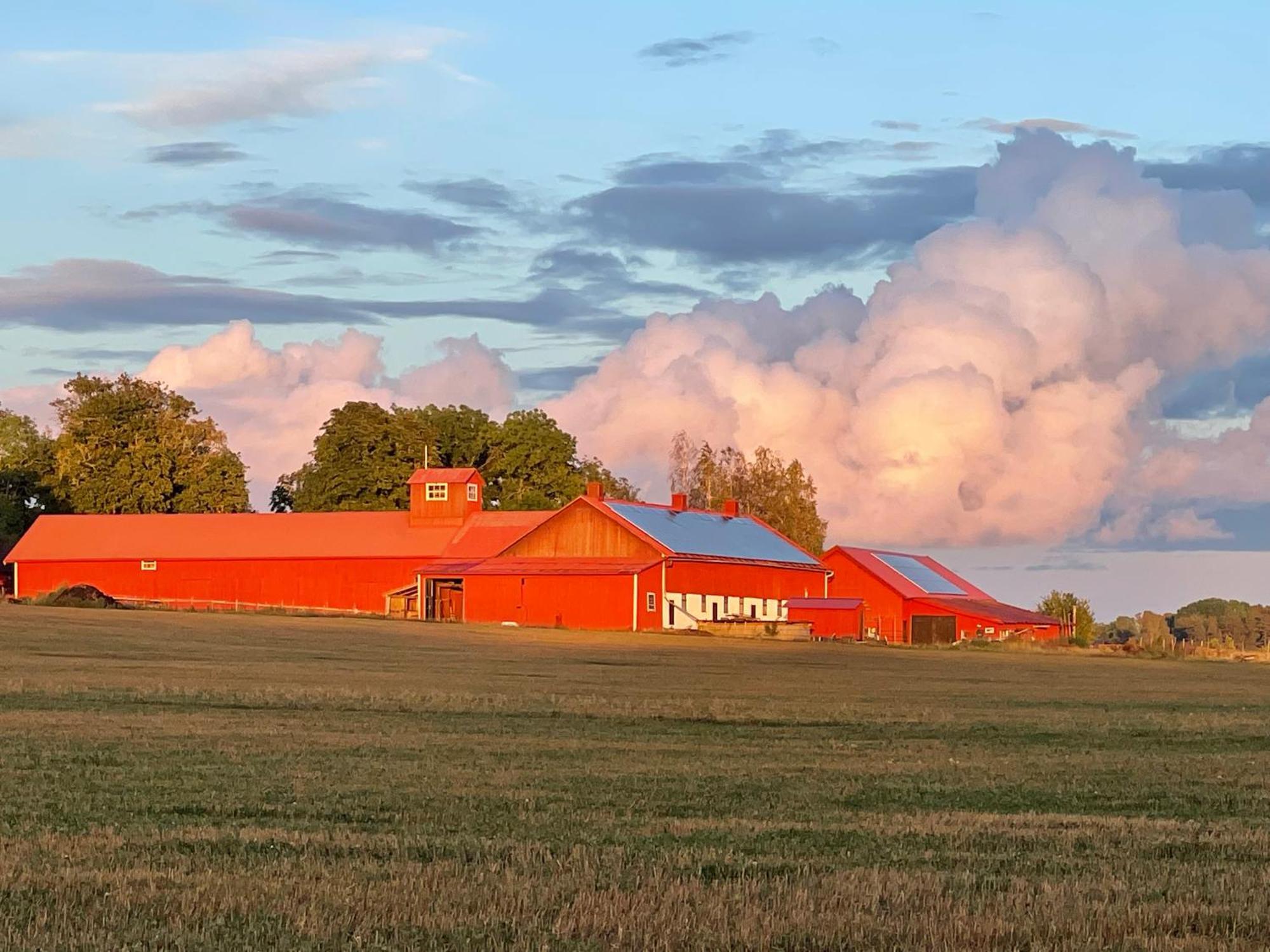 Kroksta Gard Bälinge Exterior foto